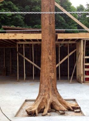 Family Tree Construction